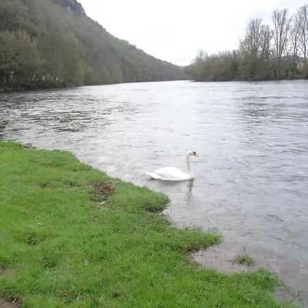Du Sabotier - Troglodytique - A 100 M Baignade En Riviere - Location De Canoe - Circuits Cyclo - Aire De Pique-nique - 3 Restaurants Ferienhaus